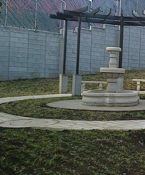 FOTO1615 - COPIA_crop