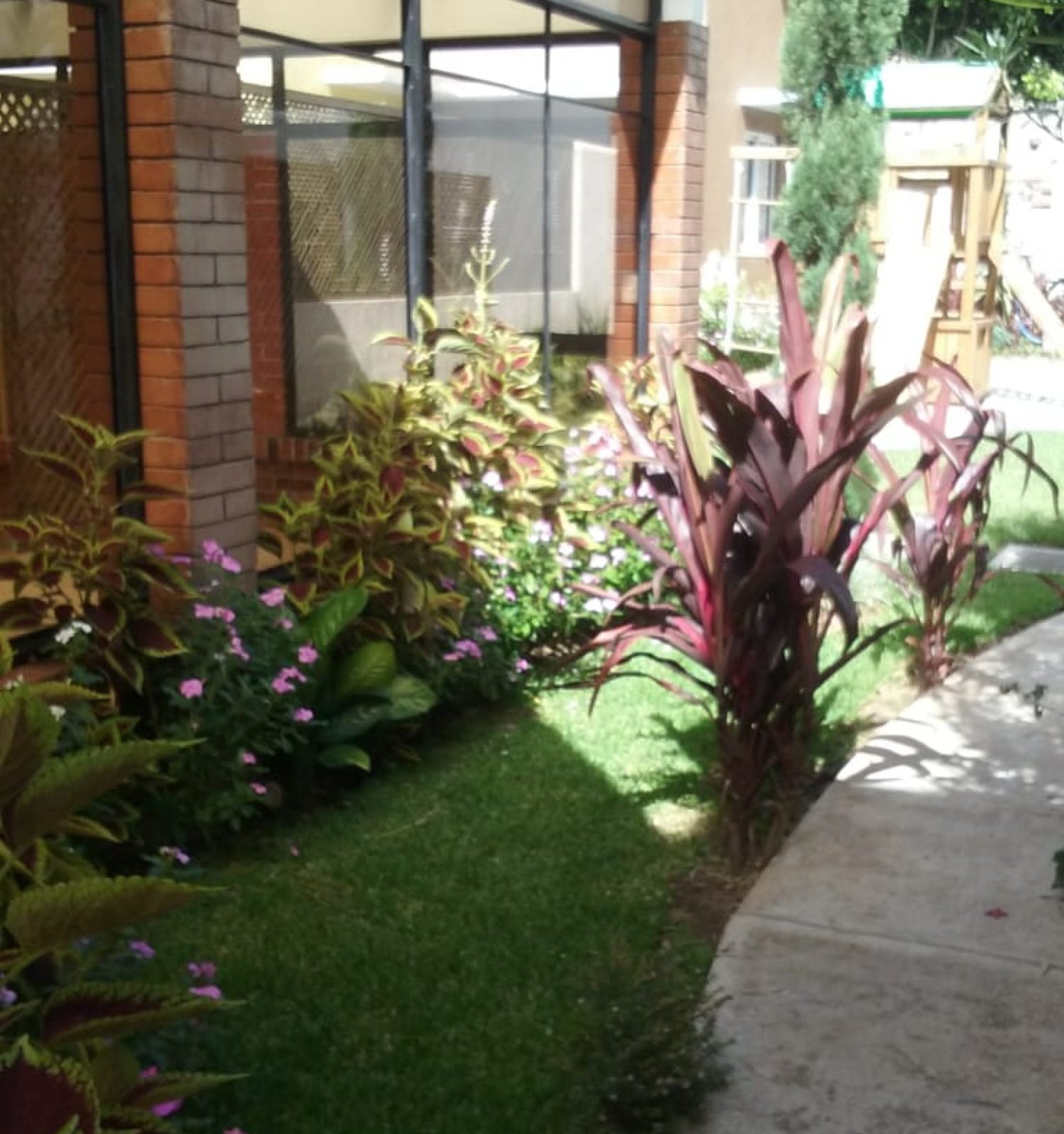 IMG-20180816-WA0004jardin