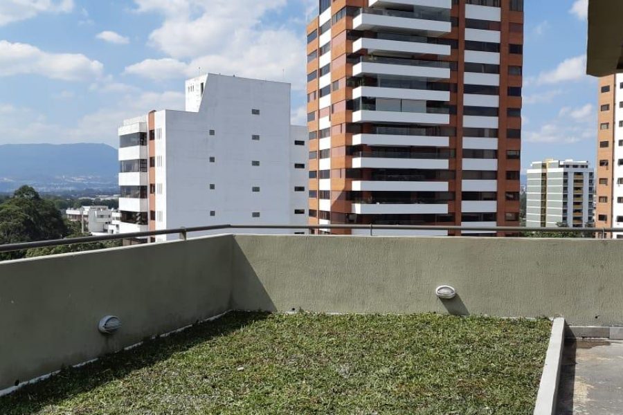 IMG-20190211-WA0003_crop