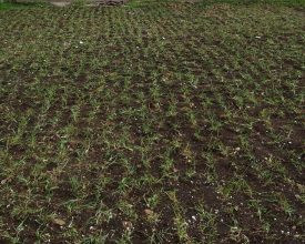 WhatsApp Image 2020-04-30 at 3.47.02 PM